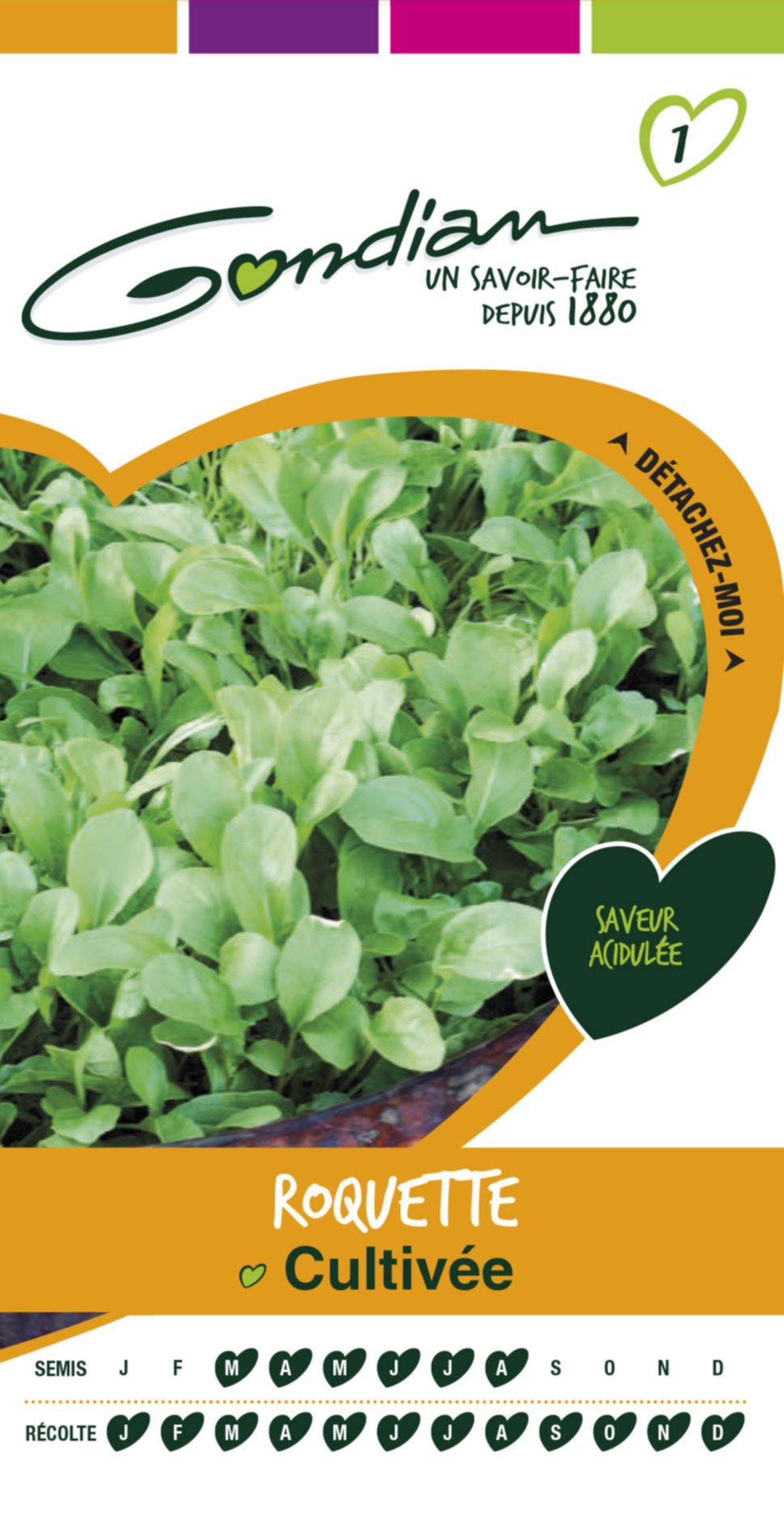 Roquette cultivée Gondian