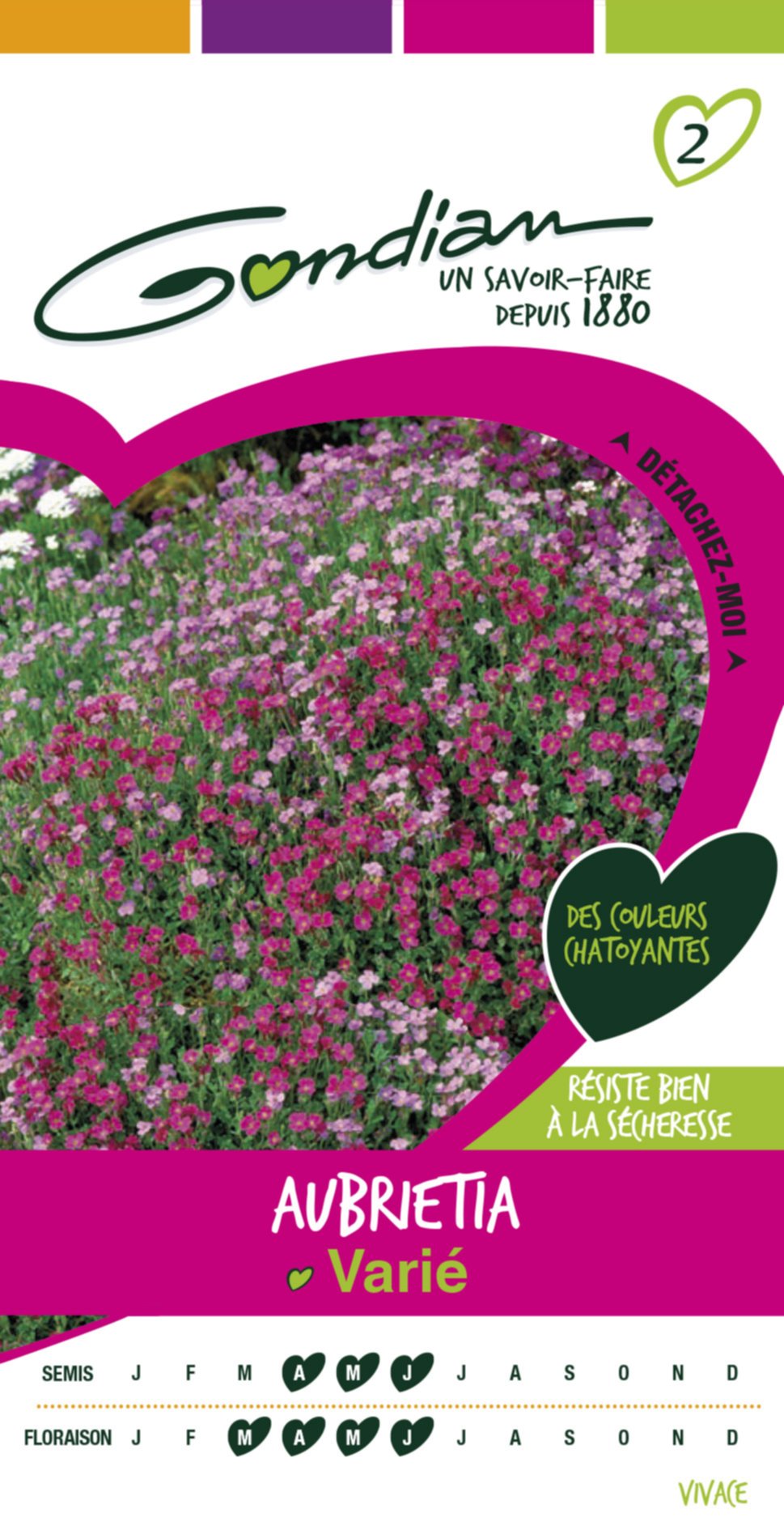 Aubrietia purpurea Gondian