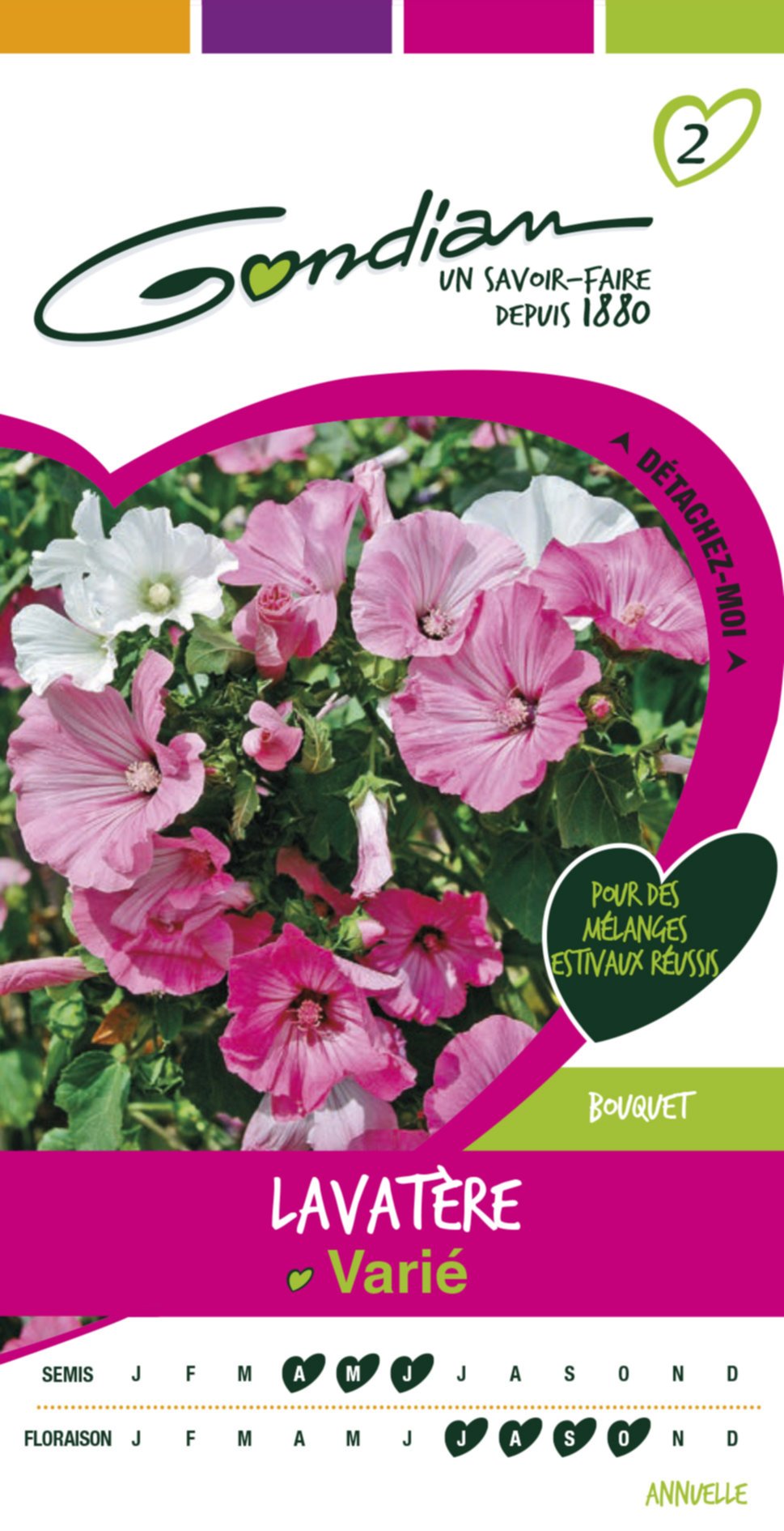 Lavatère grande fleur mix Gondian