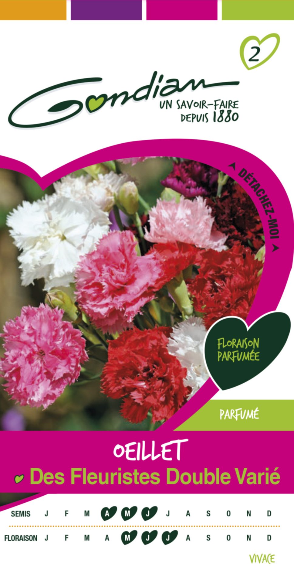 Oeillet double triomphe vivace Gondian