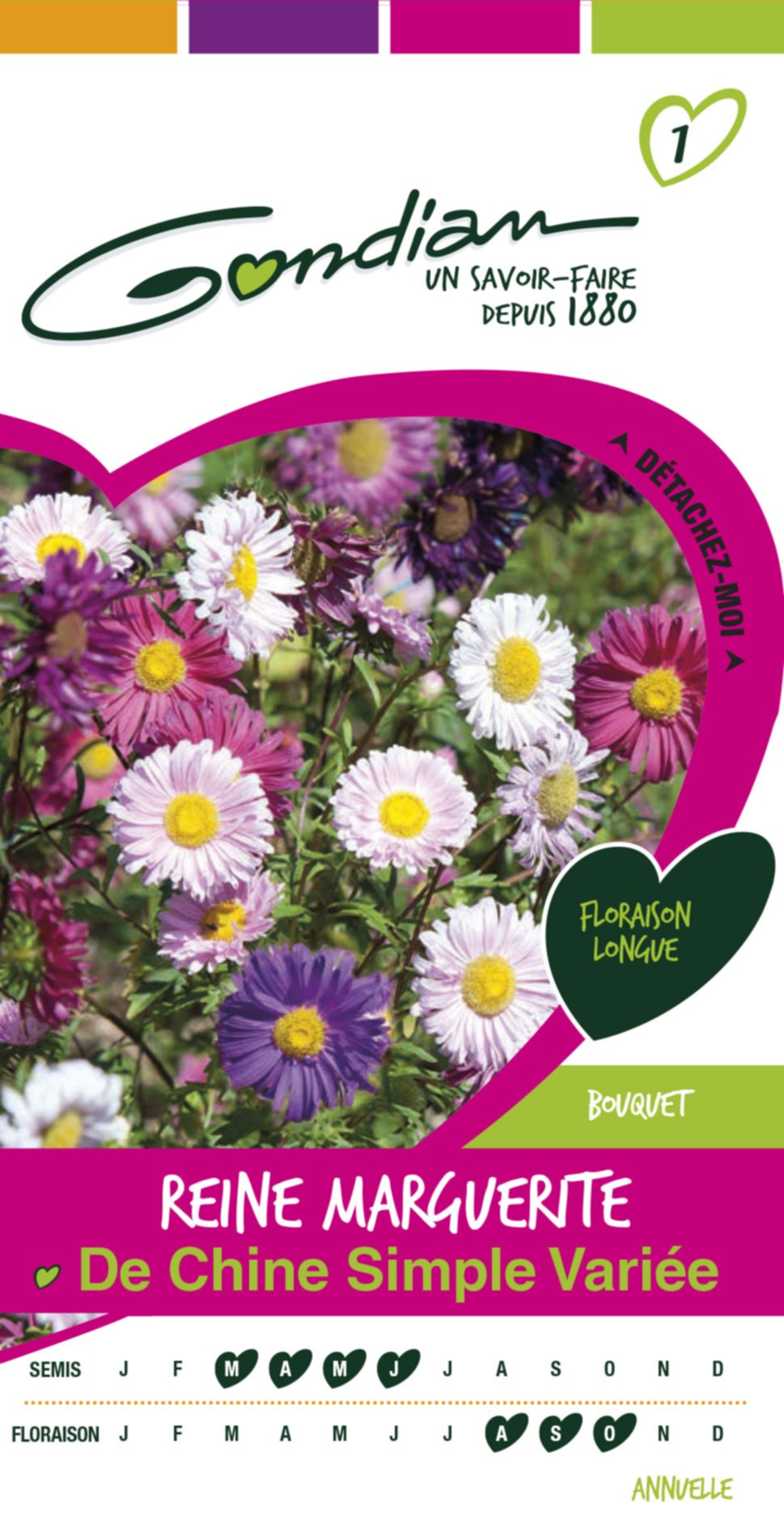 Reine marguerite simple varie Gondian