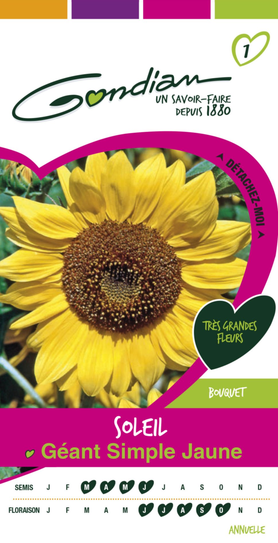 Soleil simple uniflorus Gondian