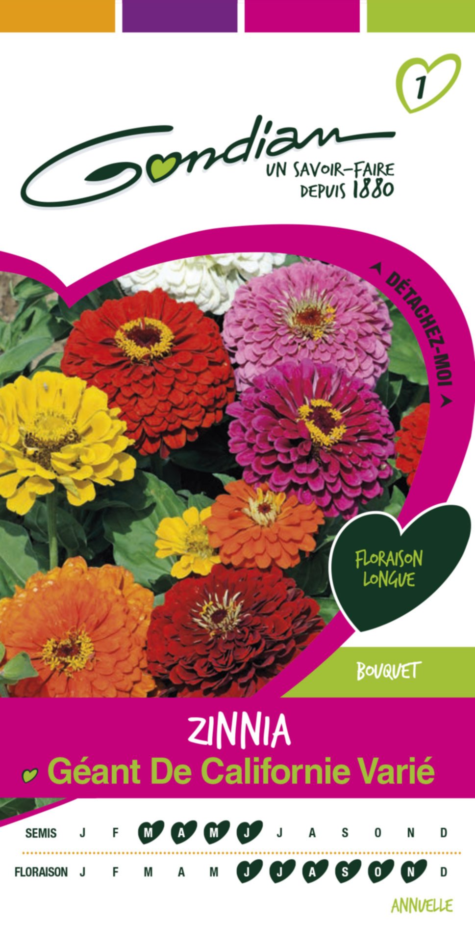 Zinnia californie mix Gondian