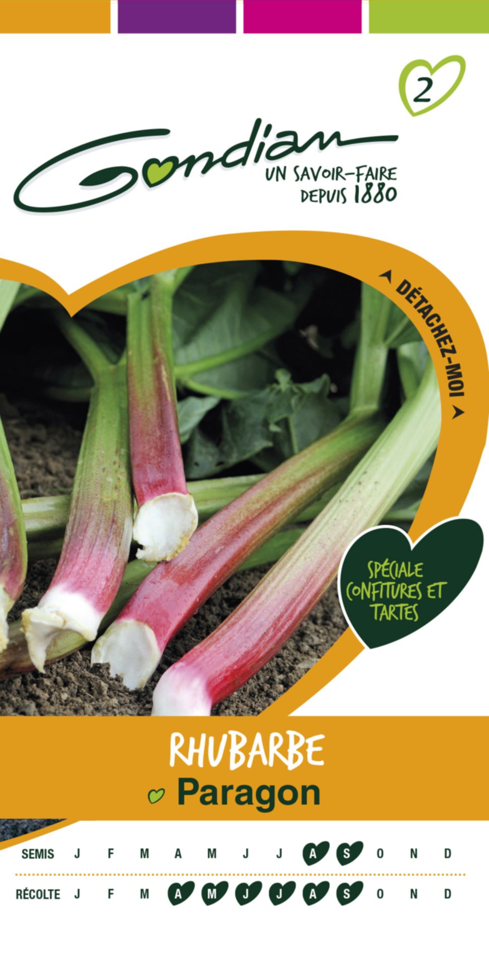 Rhubarbe victoria Gondian