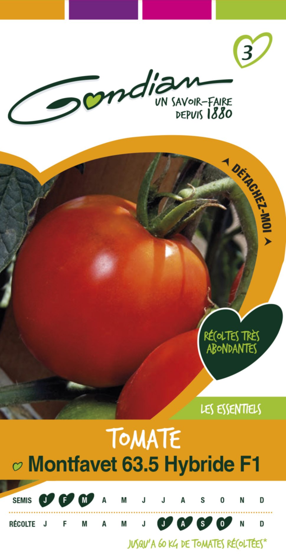 Tomate montfavet63-5 hf1 inra Gondian