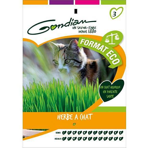 Graines Herbe à Chat - GONDIAN