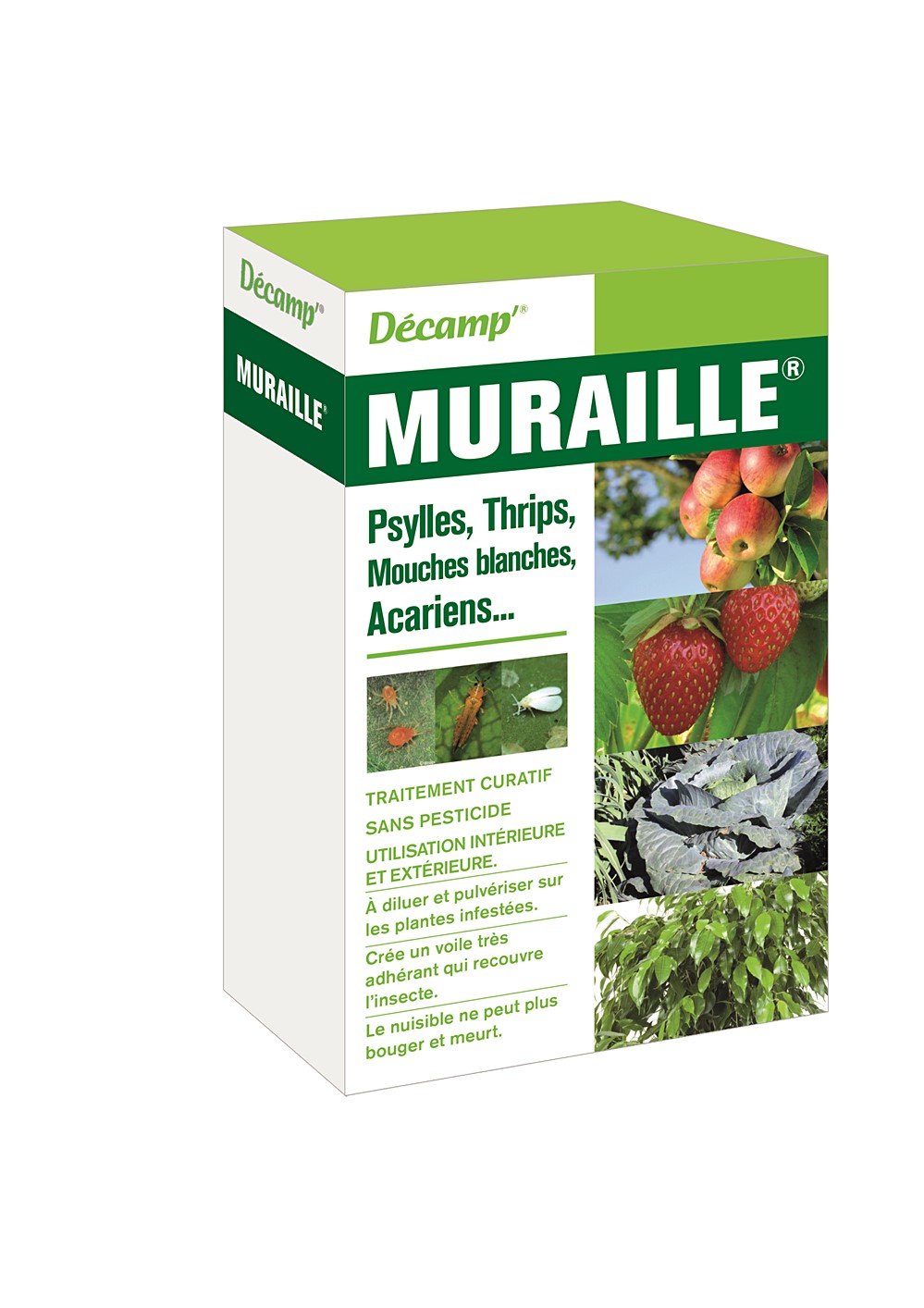Filet microscopique muraille vegetaux flacon 10ml