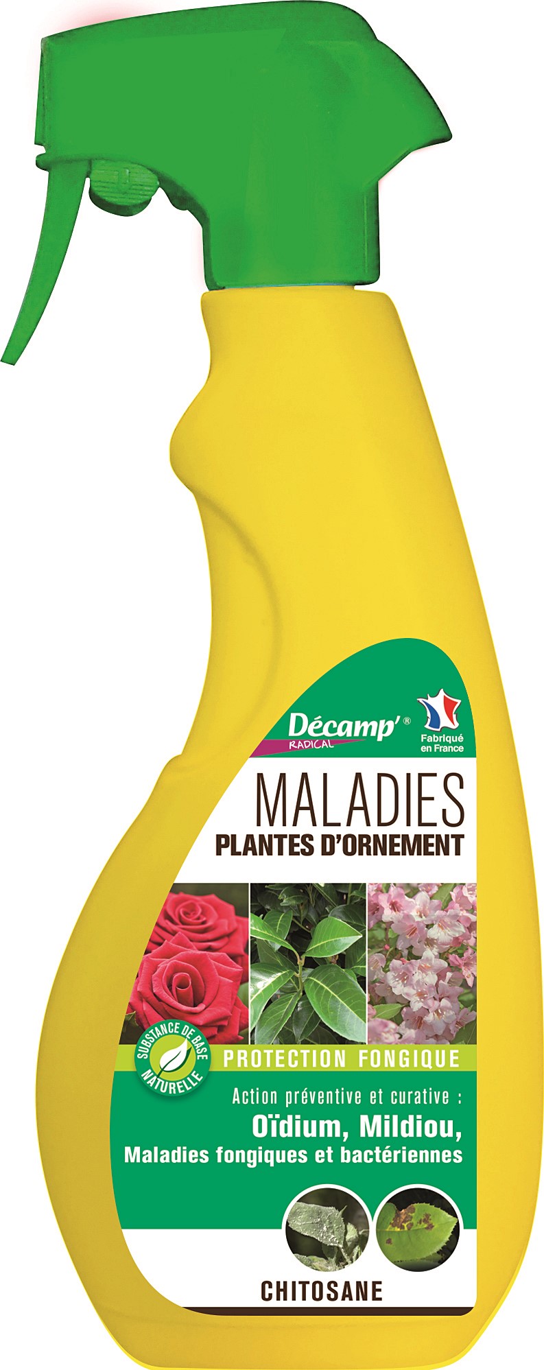 Glu rongeur insectes decamp' radical
