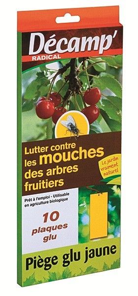 Piège jaune dipteres mouches arbres fruitiers