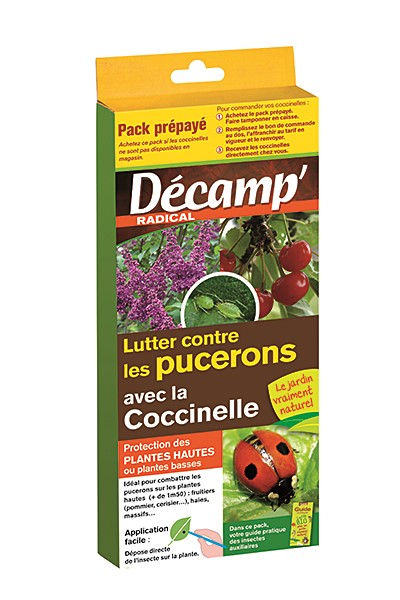 Coccinelle adalia bipunctataarbre de + de 1m50