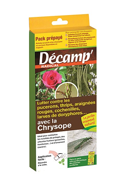 Chrysope 50 m²packs prepayes