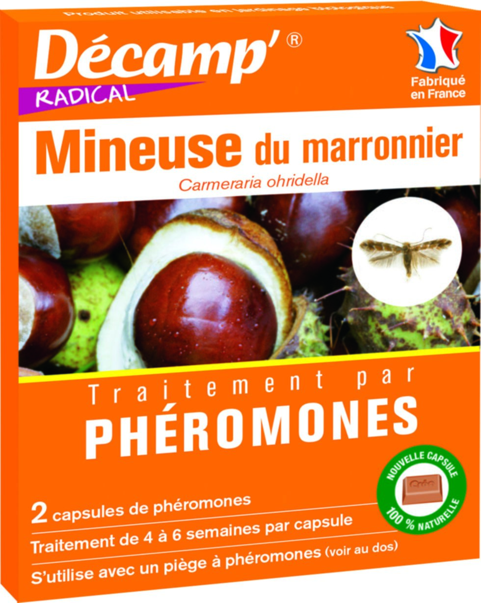 Mineuse marronn-camberaria ohridella-2 caps decamp
