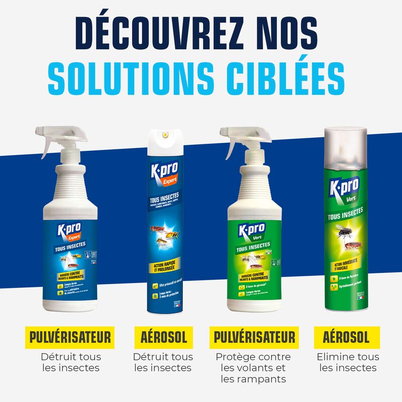 Aérosol tous insectes 300ml - K.PRO