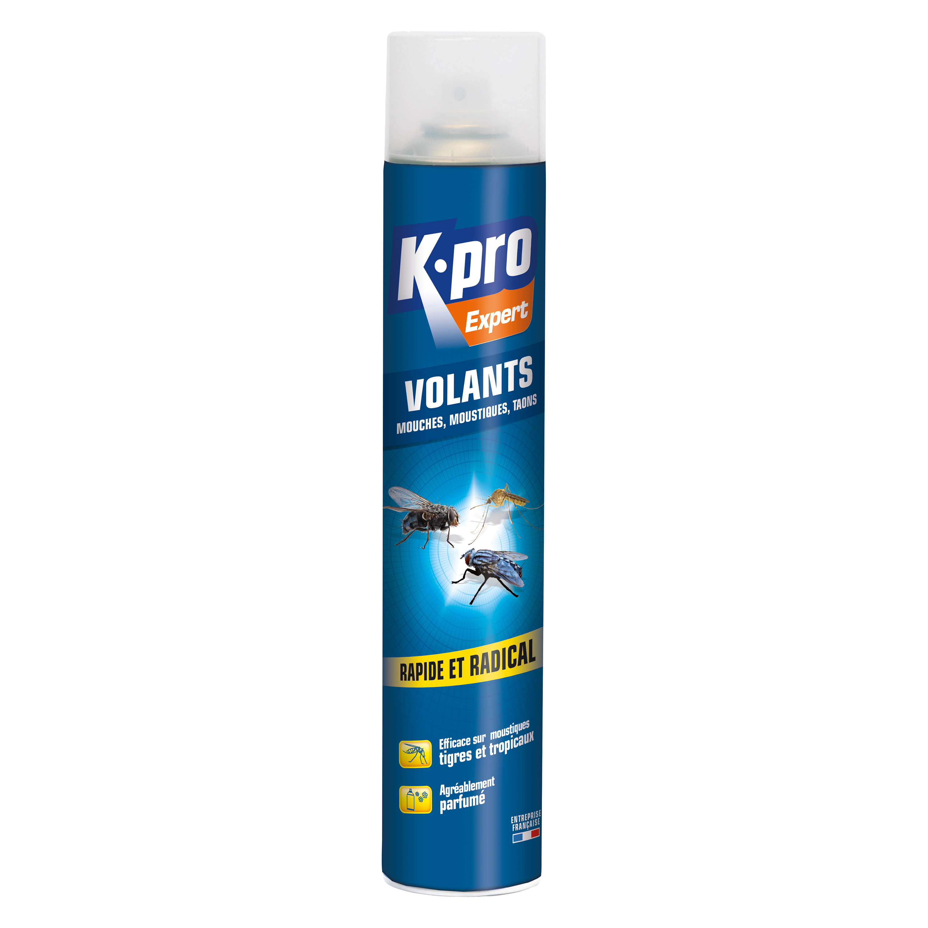 Aérosol insectes volants 750ml - K.PRO