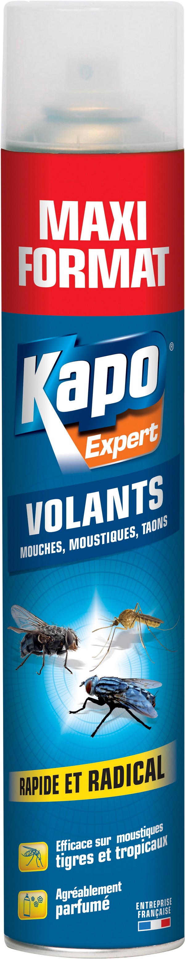 Aérosol insectes volants 500ml