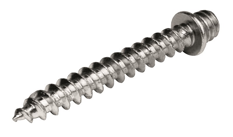 Lot de 10 pattes à vis 7x30mm