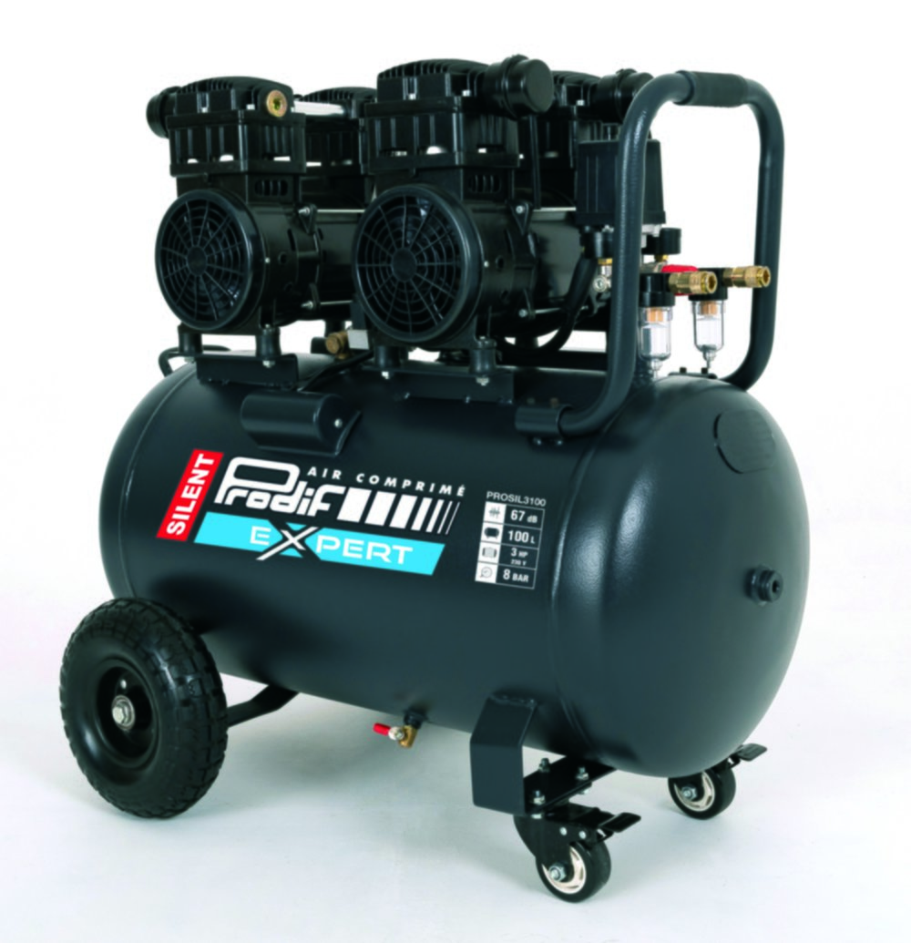 Compresseur prosil3100 100 l 8 bars