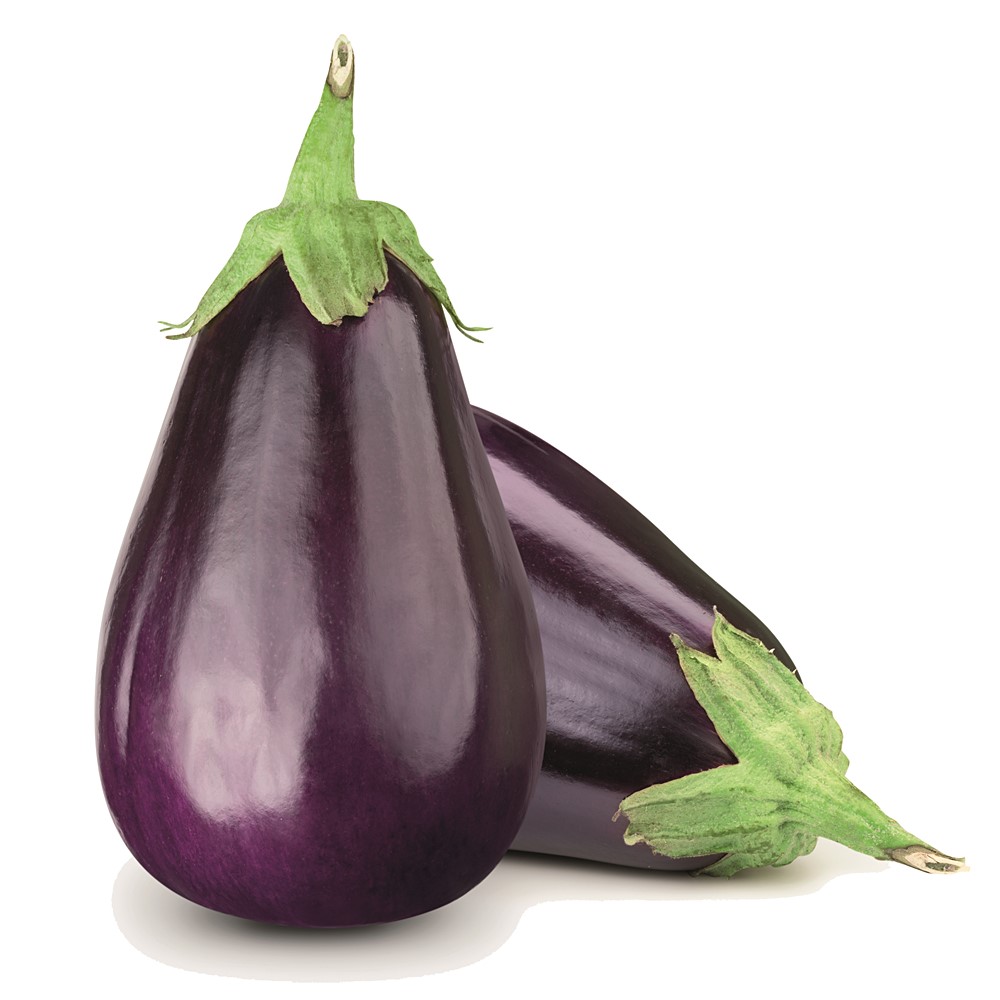 Aubergine 1l