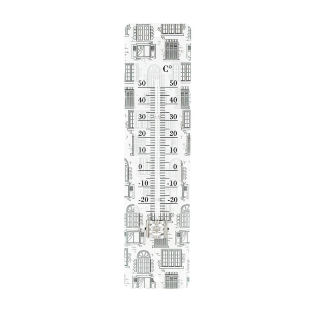 Thermomètre x5 80030 t peinte