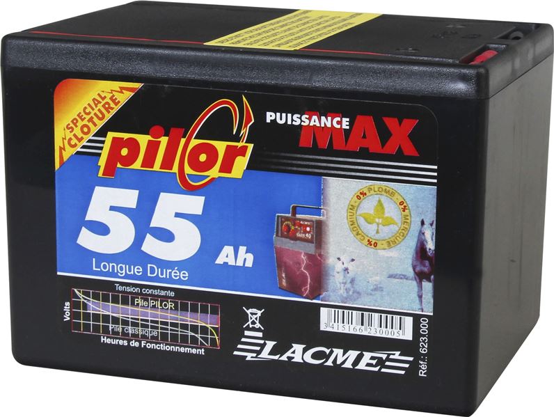 Pile pilor 9v/55 ah par 4