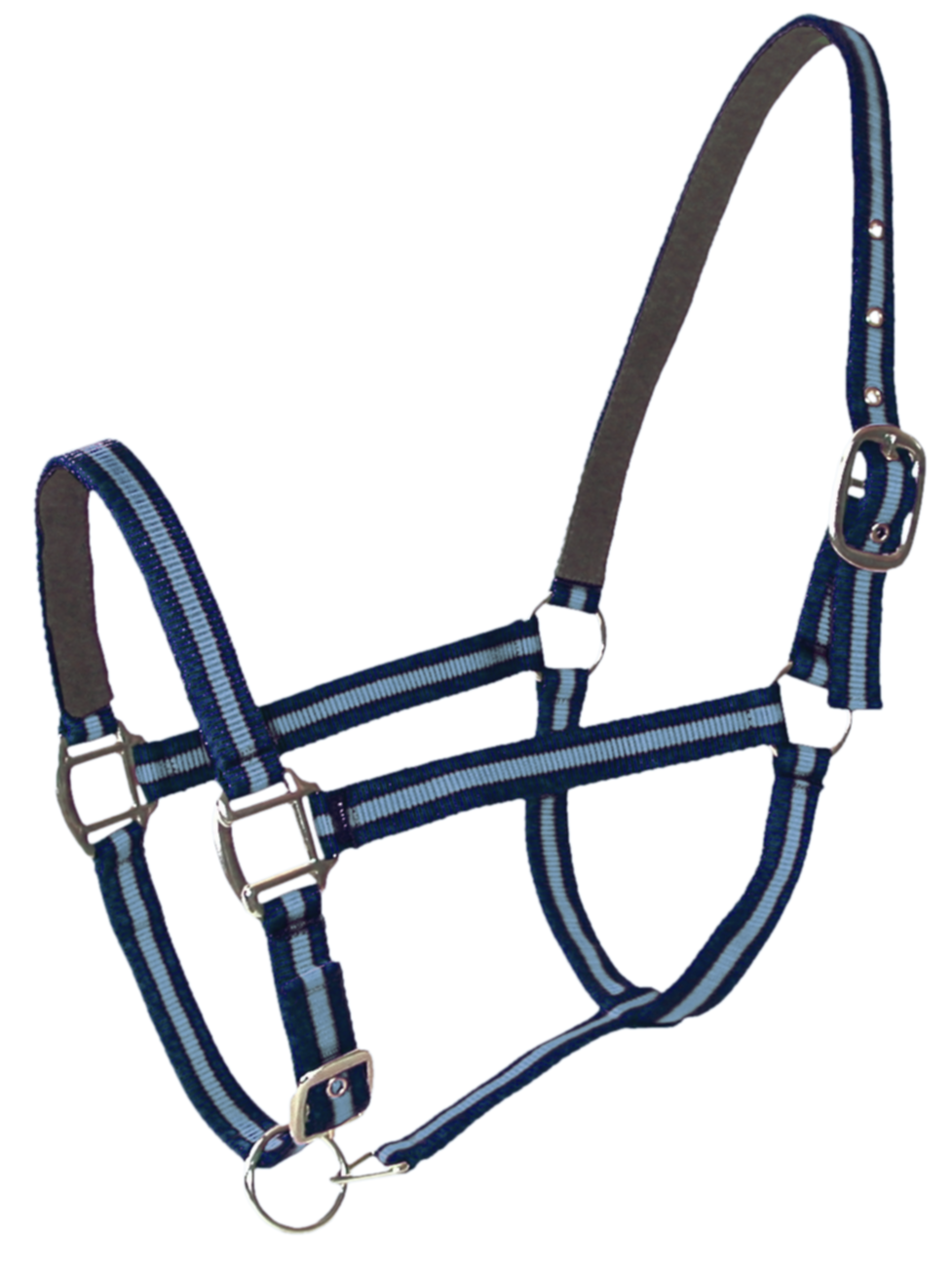 Licol Doublé Cuir Poney Navy Ciel