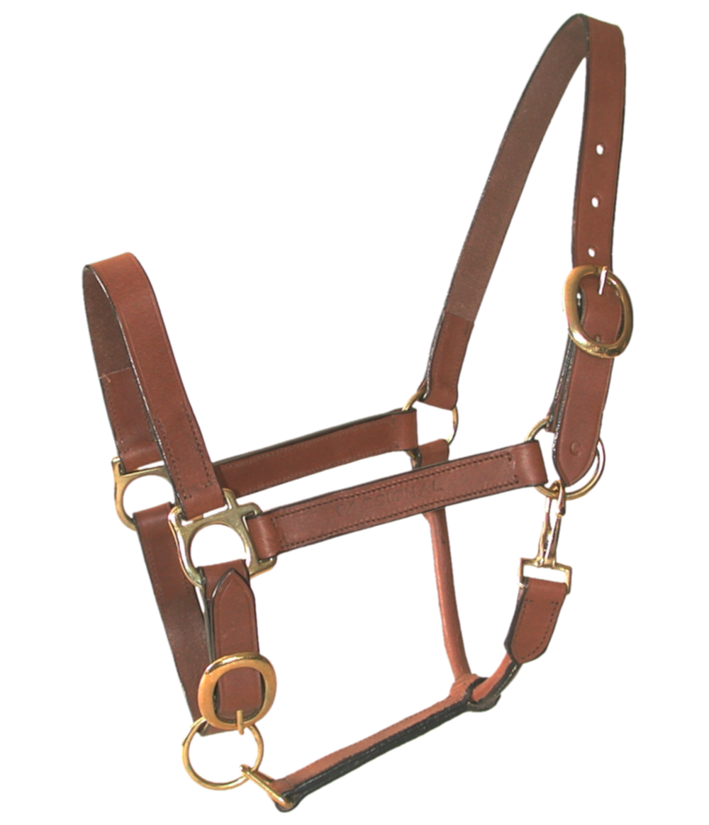 Licol Cuir Huile Poney Marron