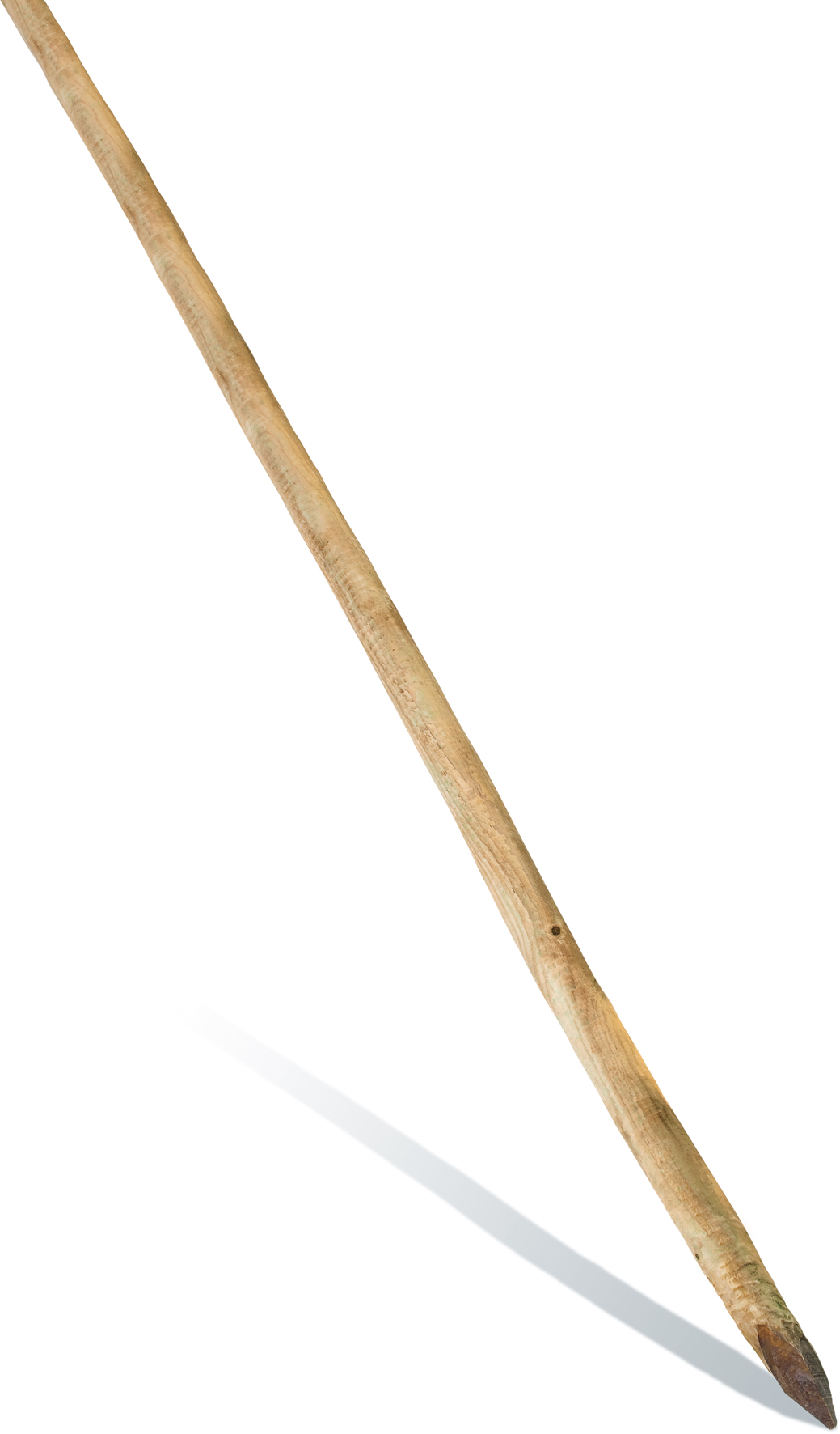 Tuteur Ecorcé Ø3/5xl150cm -CERLAND