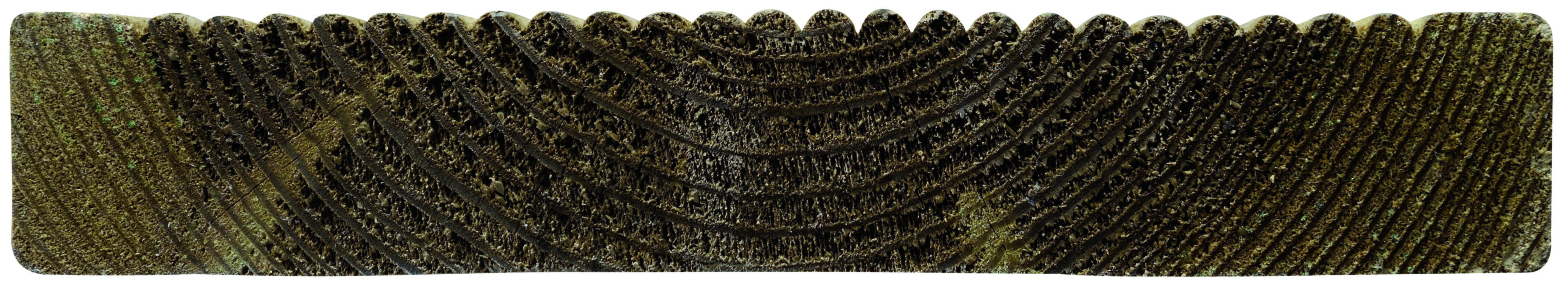Lame De Terrasse 250x14.5x2.5cm - CERLAND