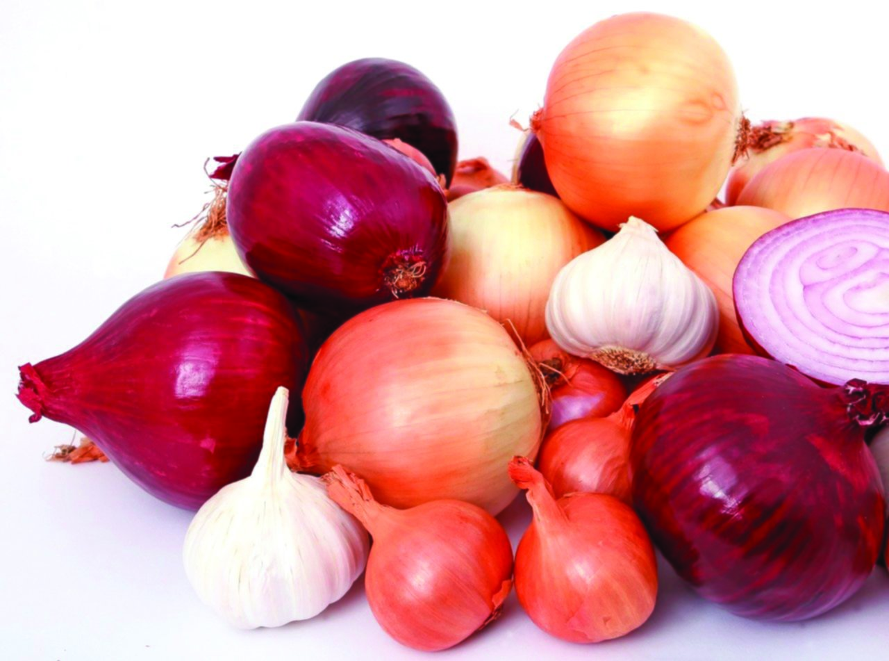 Oignons mixtes cocktail 3 couleurs 250 g