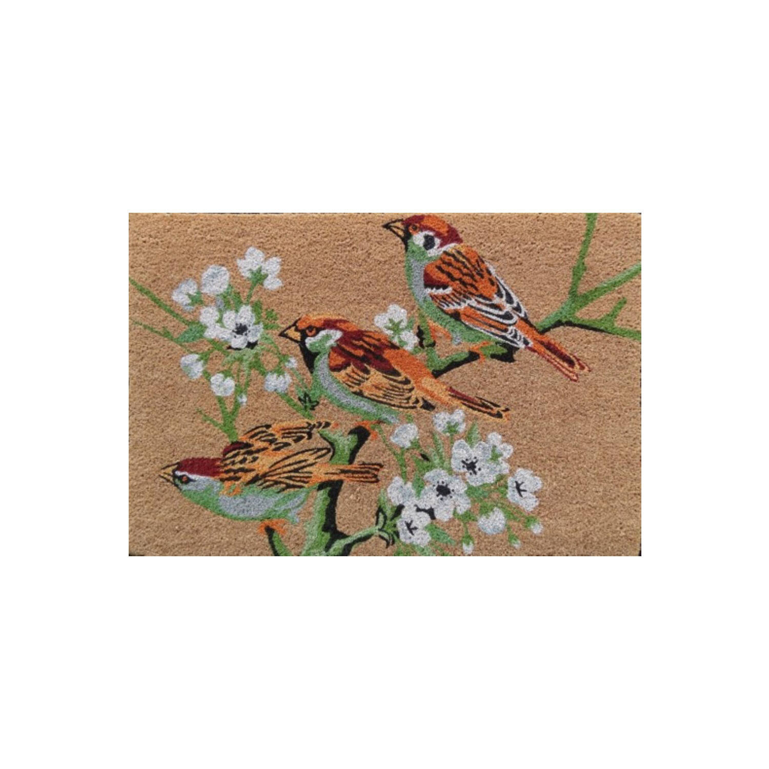 Paillasson Chic Envol 90x60cm - CORYL