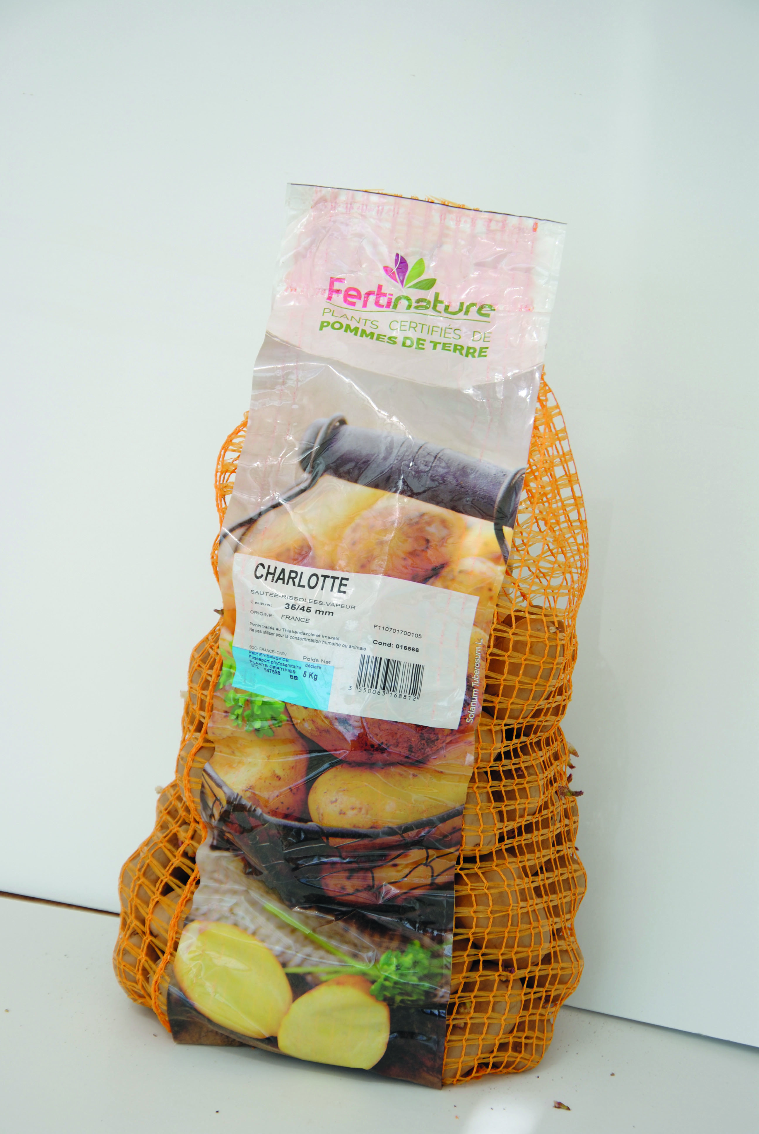 Plants de pomme de terre charlotte 35/45 5 kg