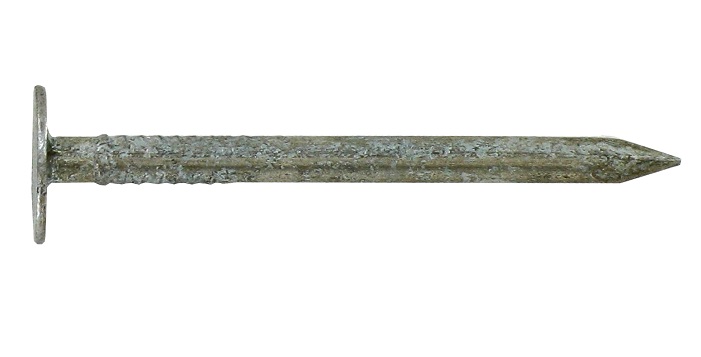 500g pointes tête plate large acier galvanisé 3x40 - INVENTIV