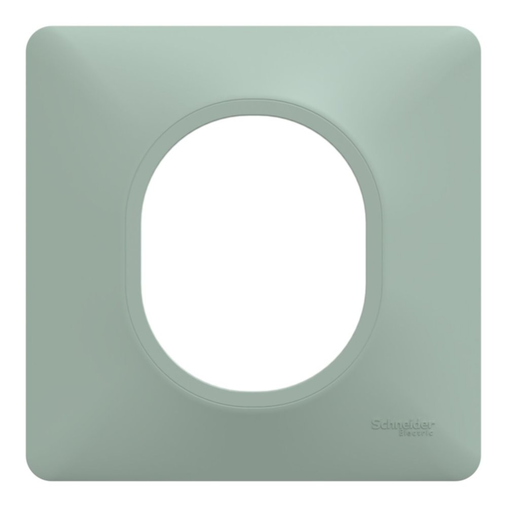 Plaque simple Ovalis sauge - SCHNEIDER ELECTRIC