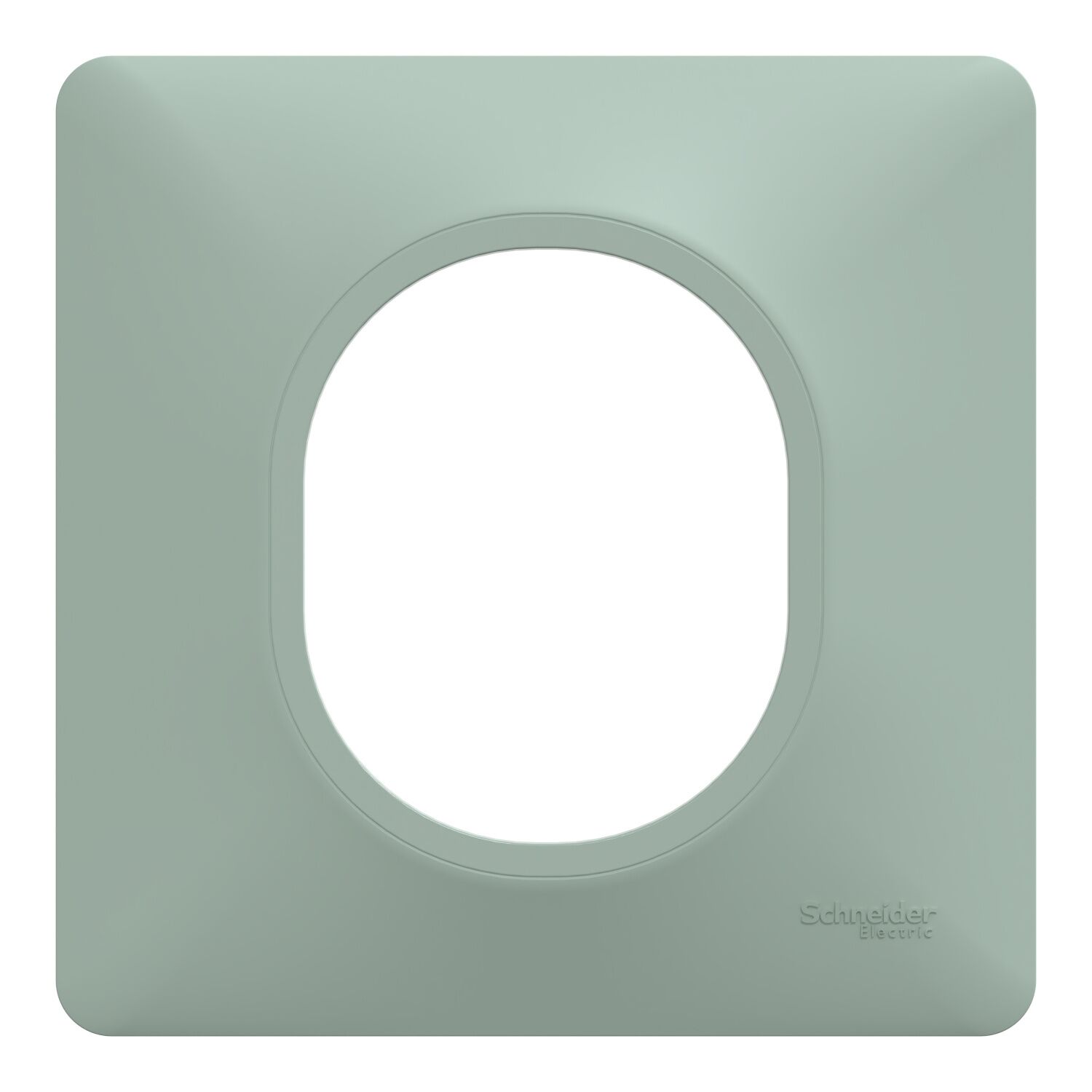 Plaque simple Ovalis sauge - SCHNEIDER ELECTRIC