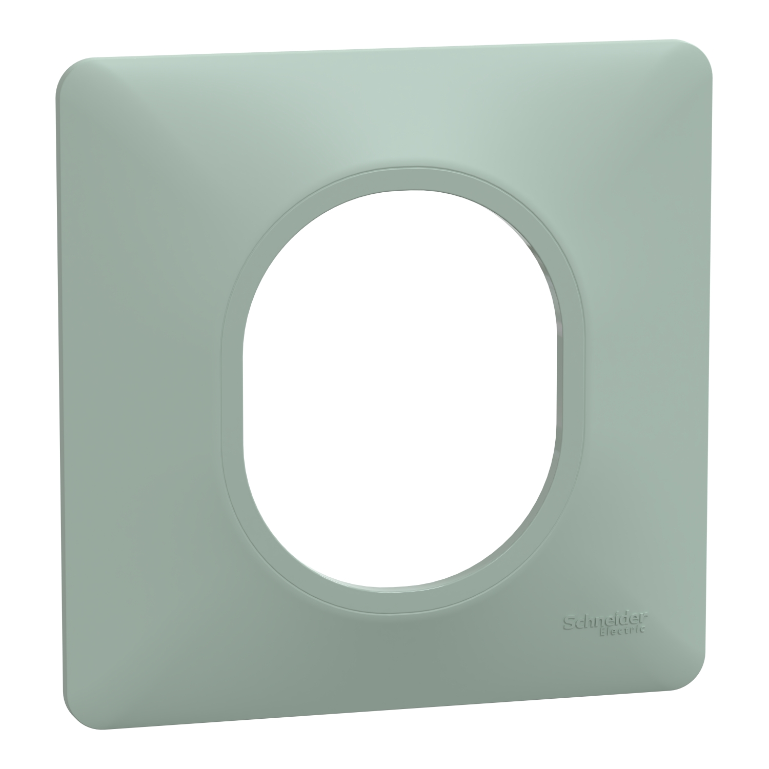 Plaque simple Ovalis sauge - SCHNEIDER ELECTRIC