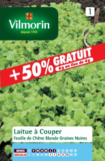 graine de laitue feuille de chene  - VILMORIN