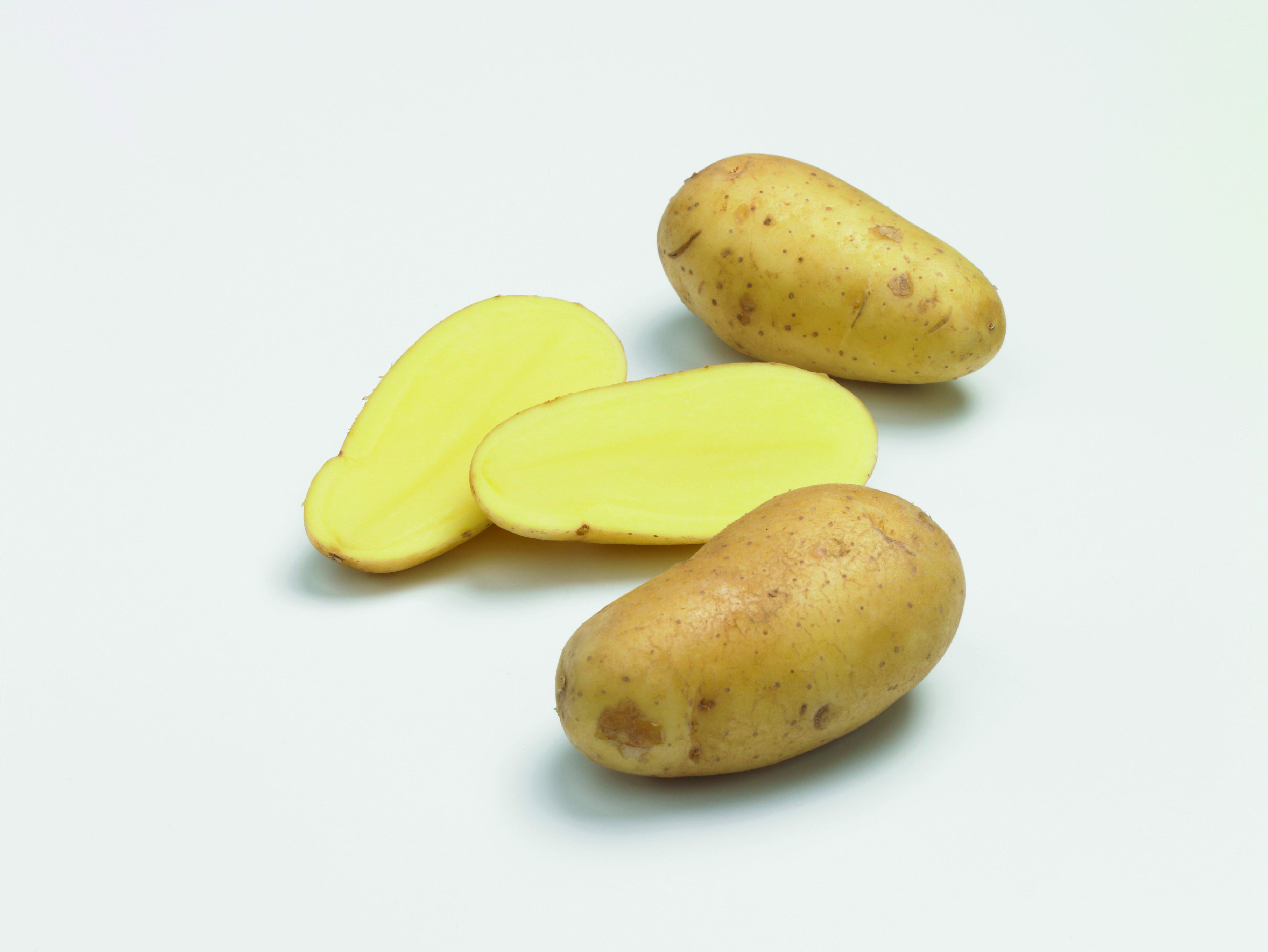 Pomme de terre CHARLOTTE 25/32 x 60 plants