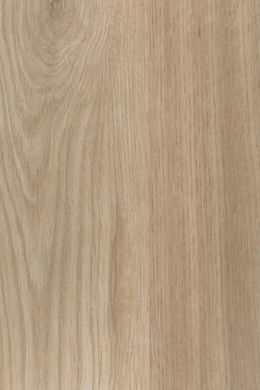 Plan de travail chêne synchro clair 205x64x3,8cm