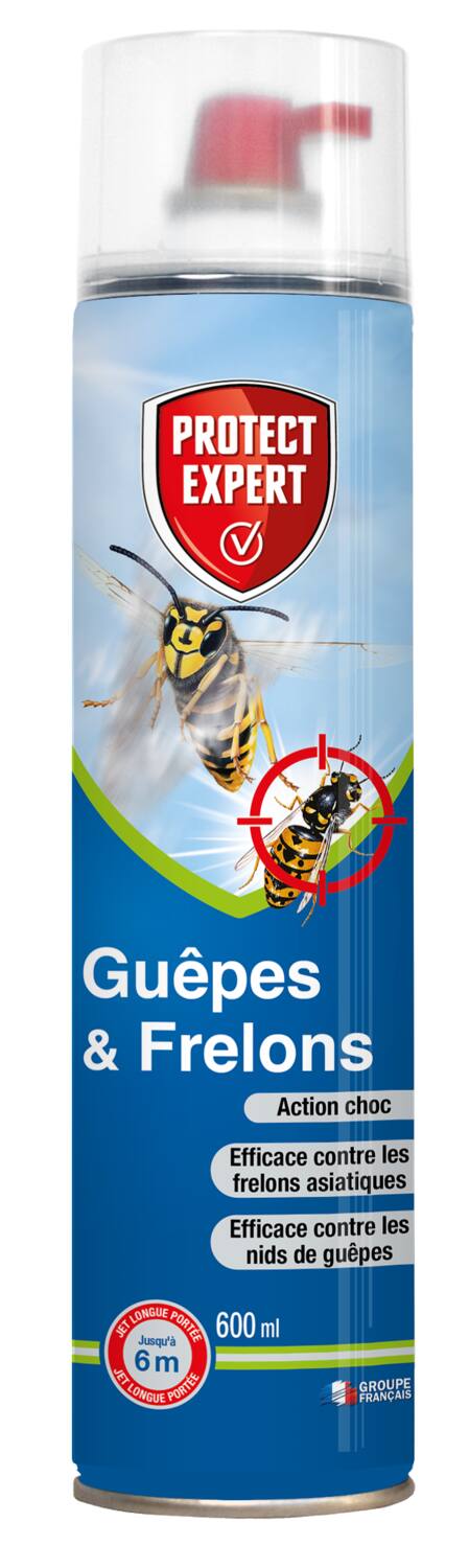 Insecticide Guêpes et frelons jet longue portée 600ml - PROTECT EXPERT