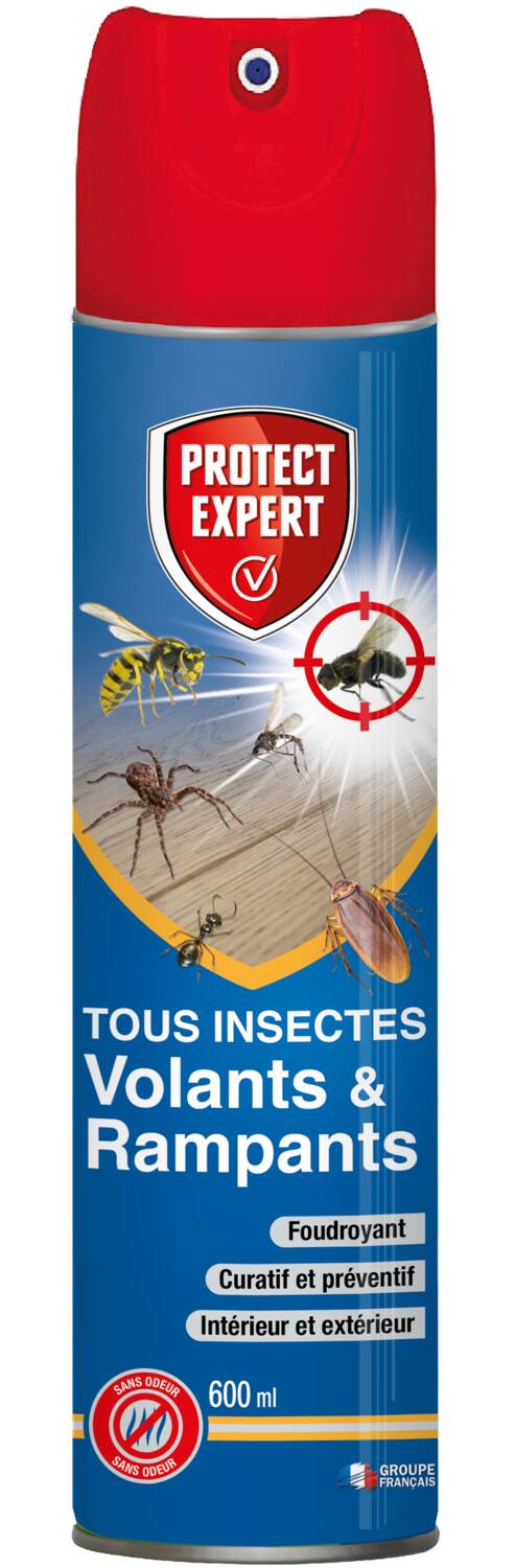 Insecticide Tous insectes Volants & Rampants 600ml - PROTECT EXPERT