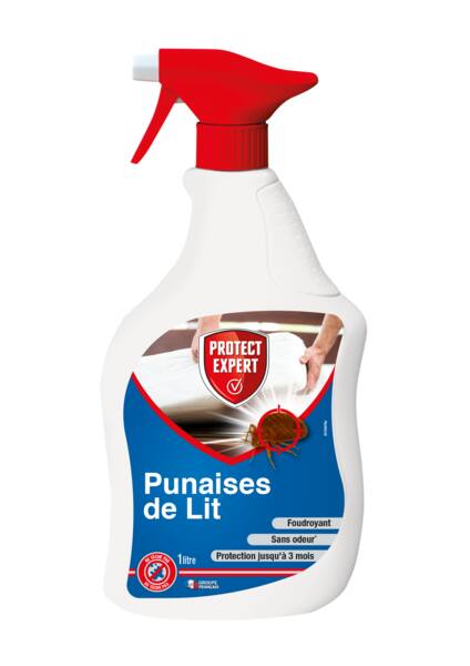 Foudroyant punaises de lits - PROTECT EXPERT