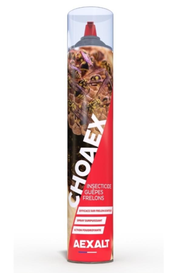CHOAEX - Insecticide guêpes frelons - 1000 ml