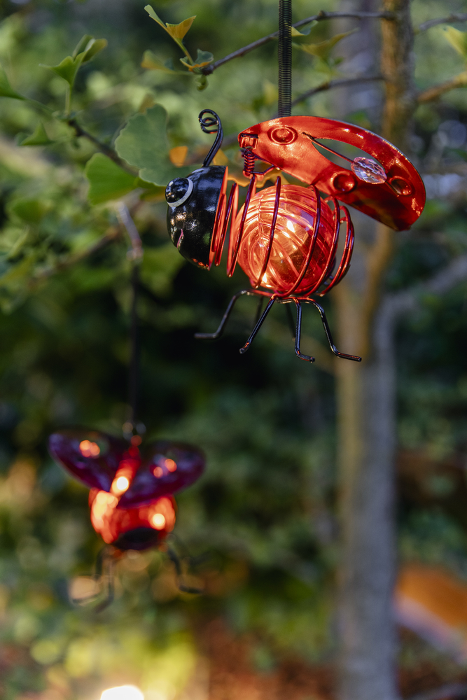 Coccinelle solaire - GALIX
