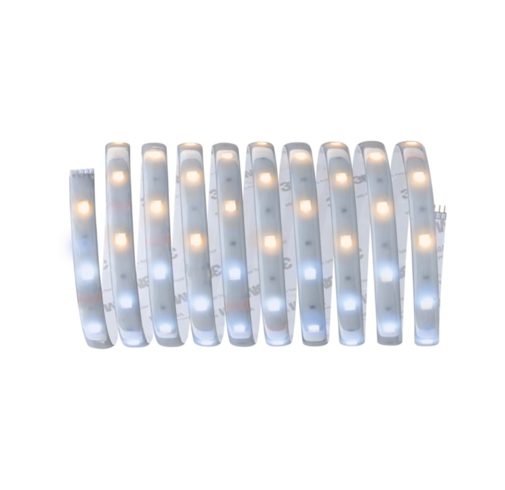 Strip MaxLED 250 Argent 3m 11,5W 24V Tunable White 