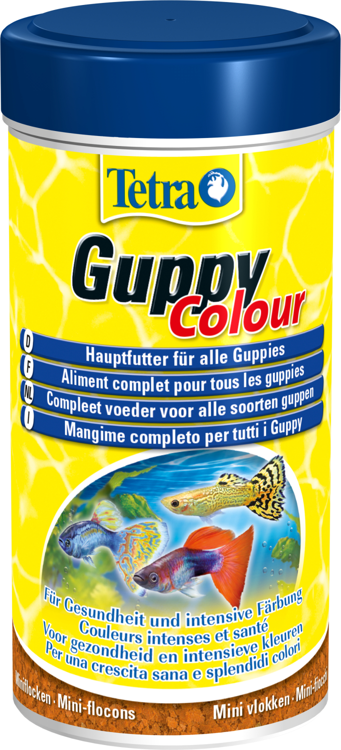 Aliment complet pour poisson guppy sous forme de mini flocons avec activateur de couleur Tetra Guppy colour 250 ml
