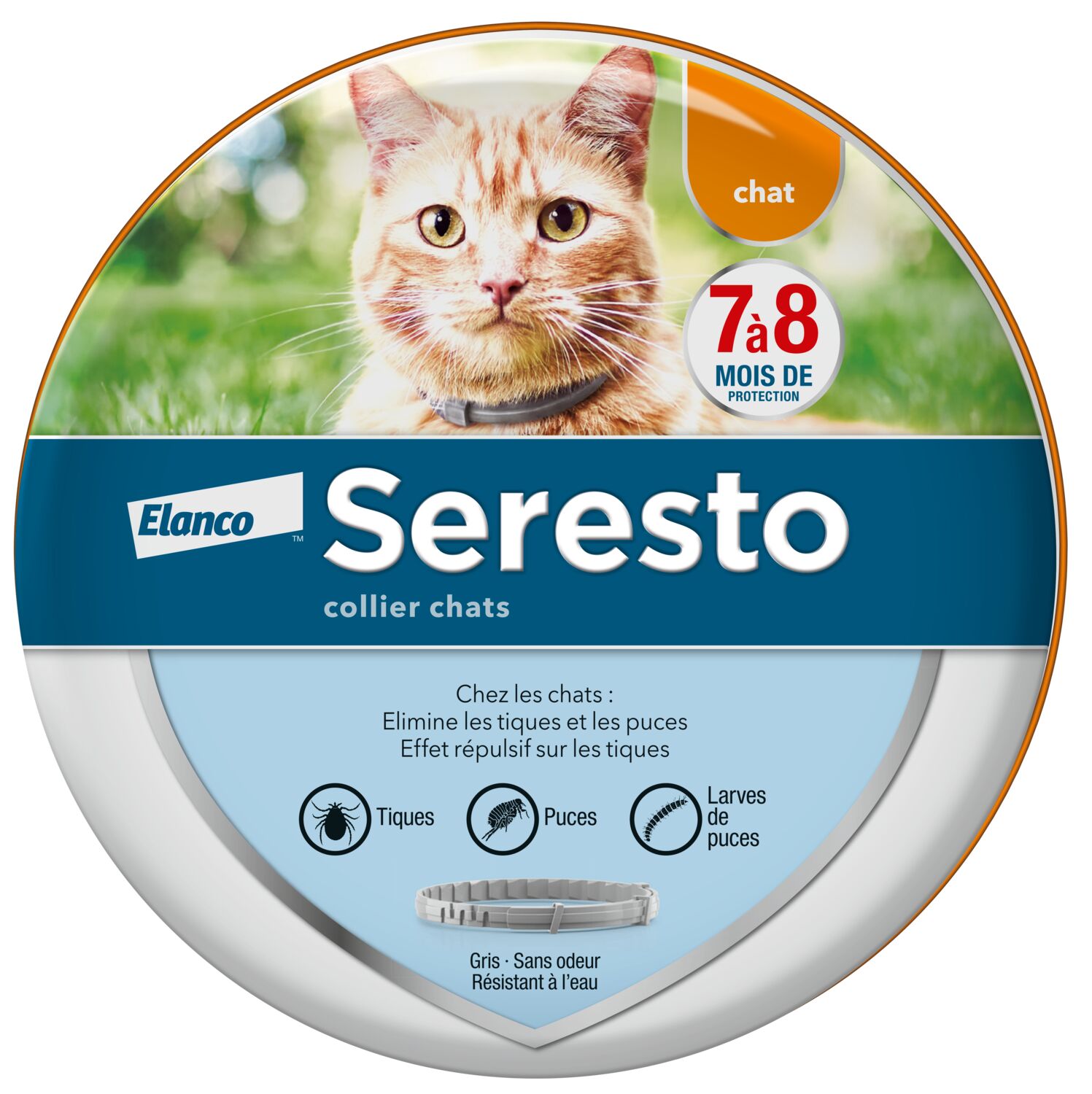 Collier Seresto chat