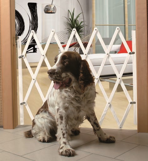 Fermeture bois extensible pour animaux 