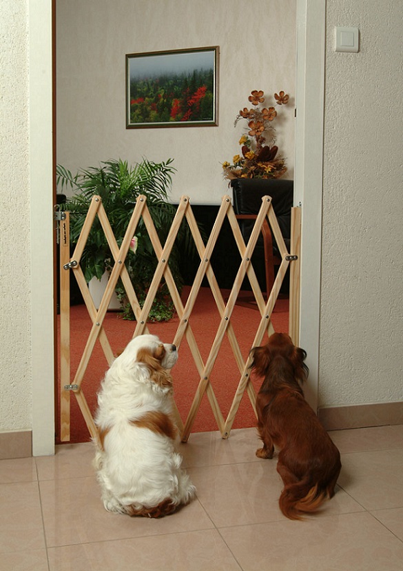Fermeture extensible pour animaux bois de 60 à 110 cm - SPTD
