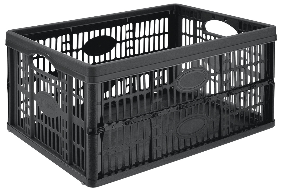 Bac de rangement pliant 32L Noir