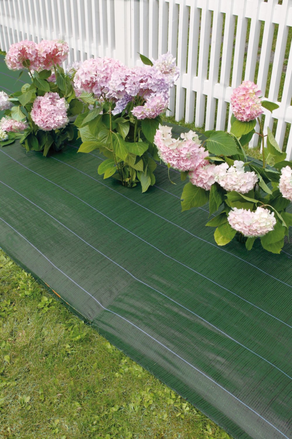 Toile de paillage weedsol 1,25 x 10 m 